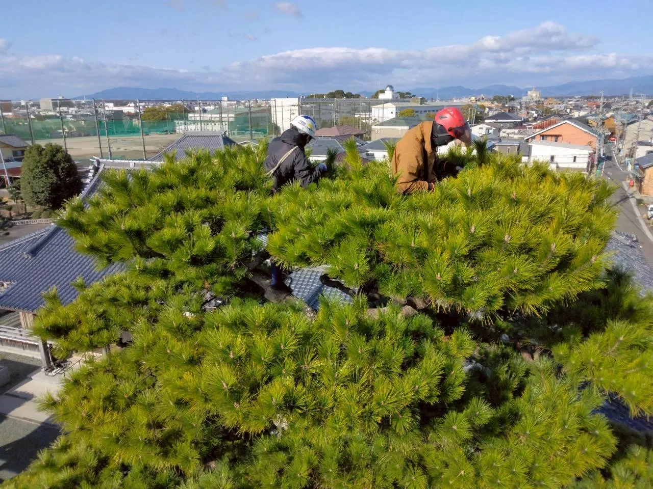 【鈴鹿市・四日市市】造園・剪定・伐採作業