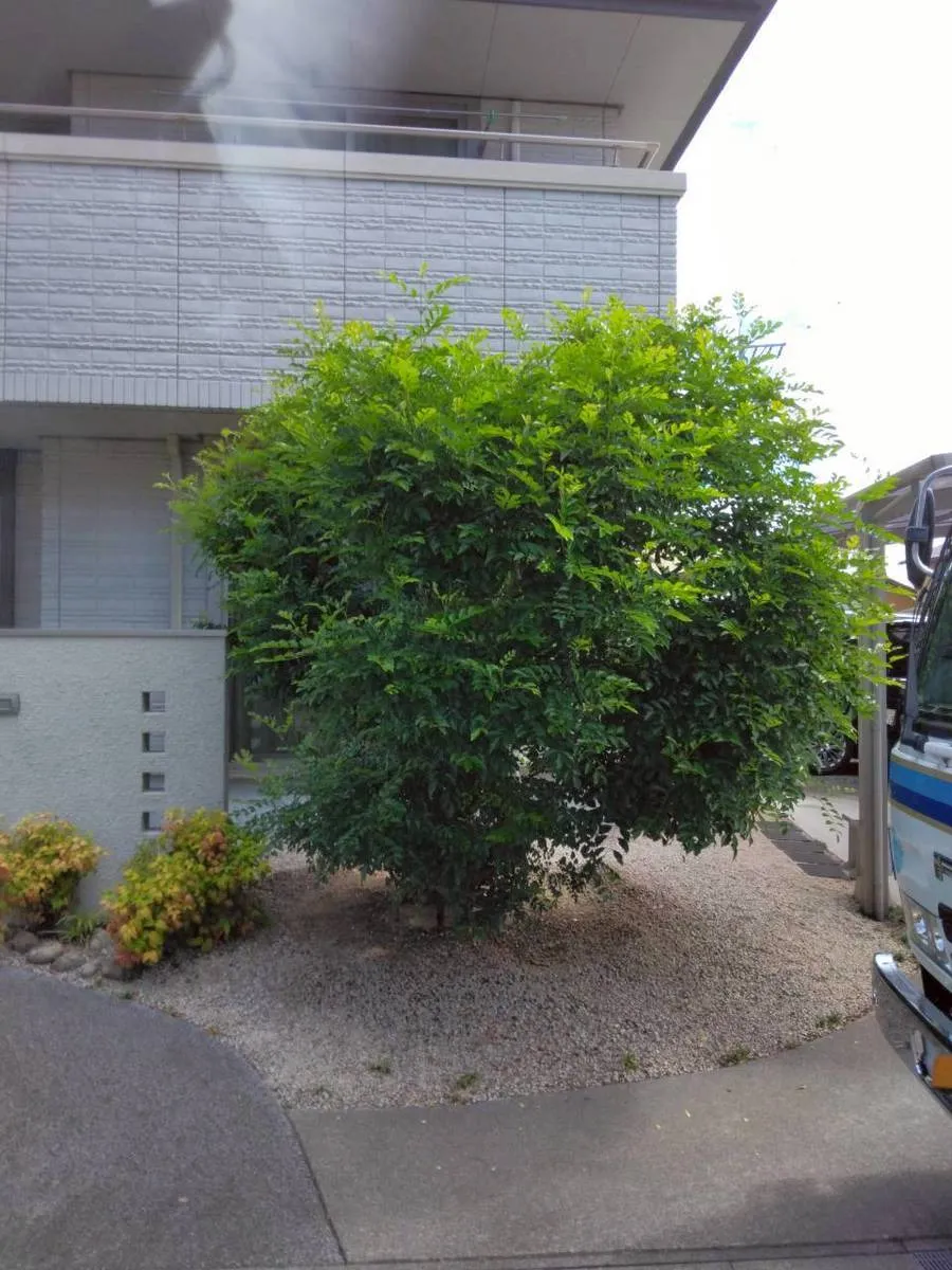鈴鹿市K様